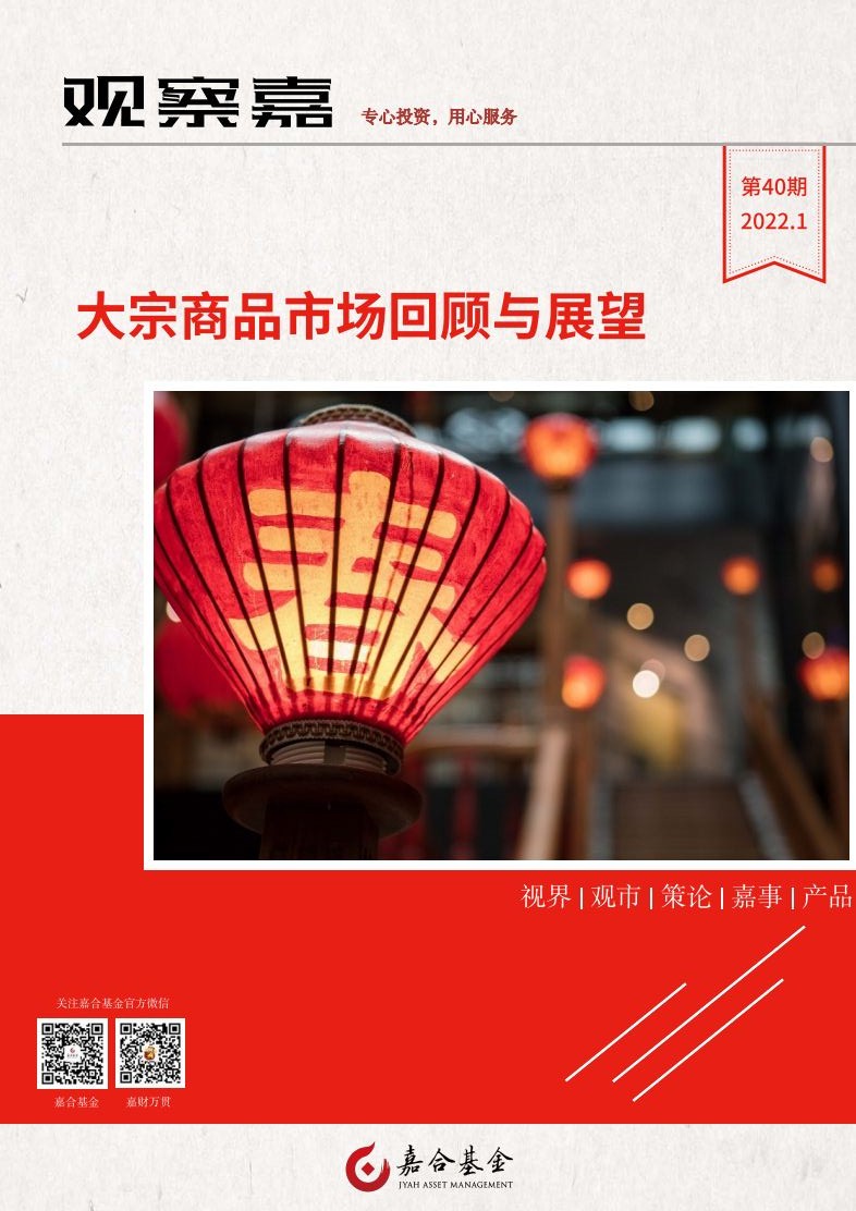 观察嘉