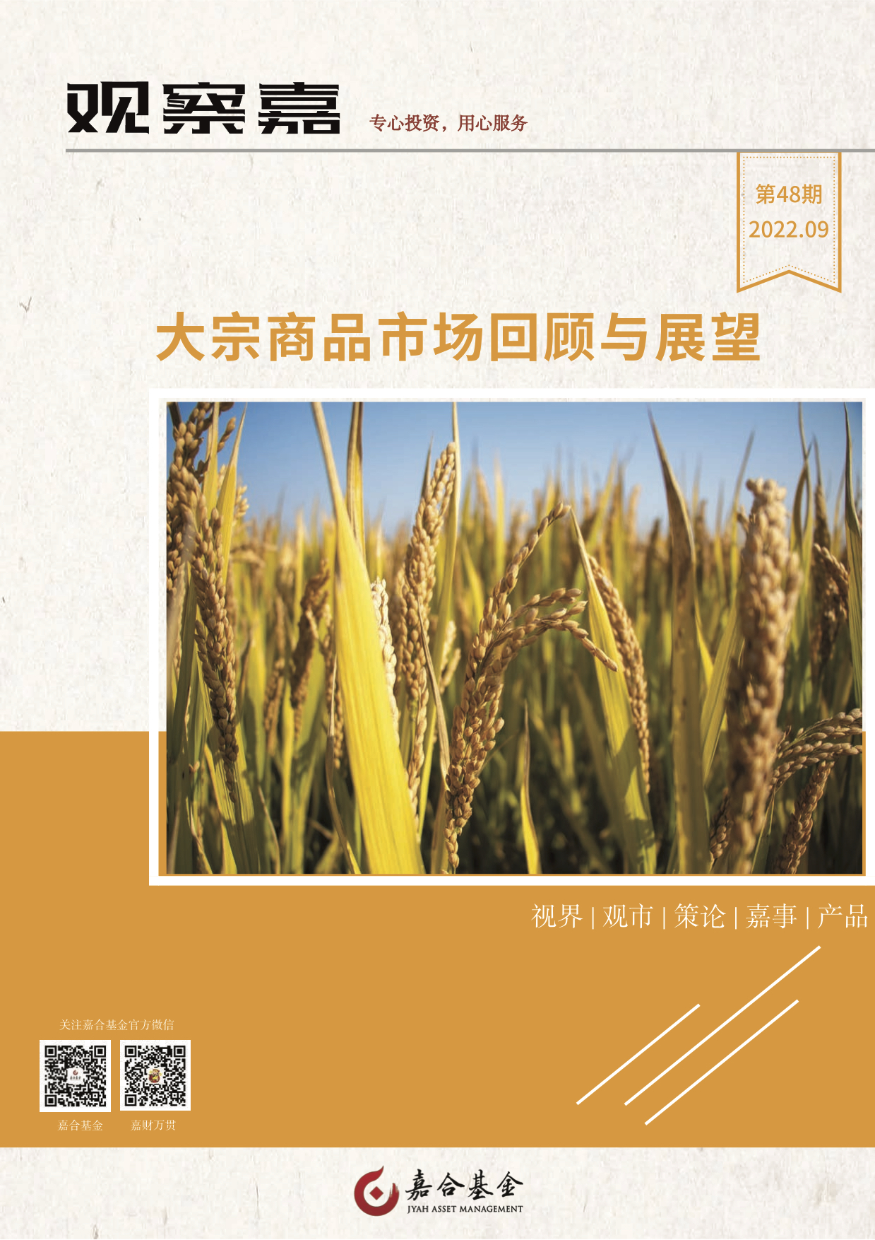 观察嘉