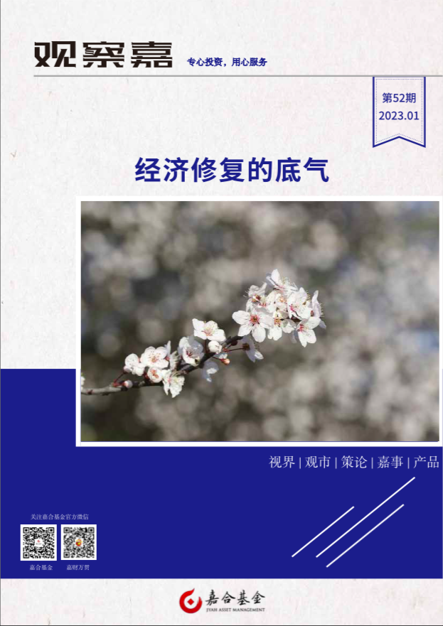 观察嘉