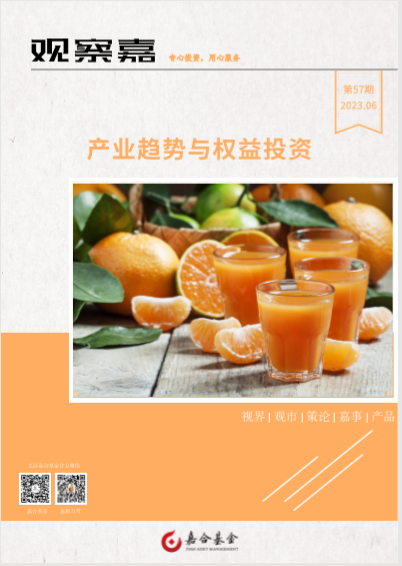 观察嘉