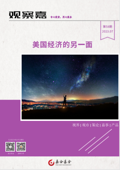 观察嘉